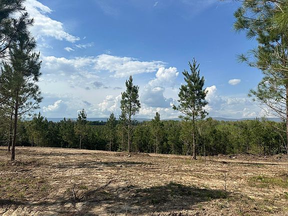 5th image of TRACT 19 Avalon Lake Ln