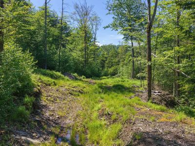 381 Whitaker Farm Road, Marlboro, VT, 05344