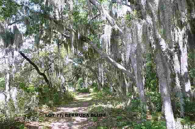 1st image of 85 Bermuda Downs Street