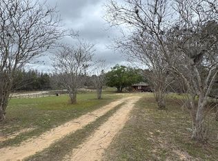 18001 Phil C Peters Rd, Winter Garden, FL 34787