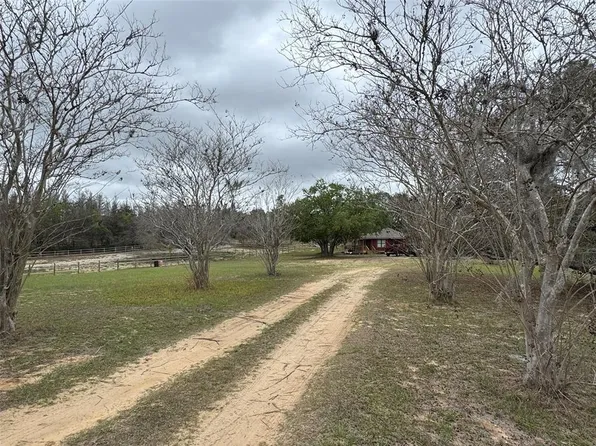18001 Phil C Peters Rd, Winter Garden, FL 34787