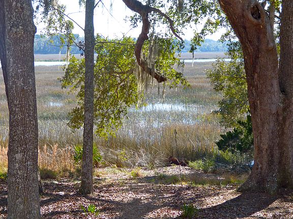 View of creek from deck.