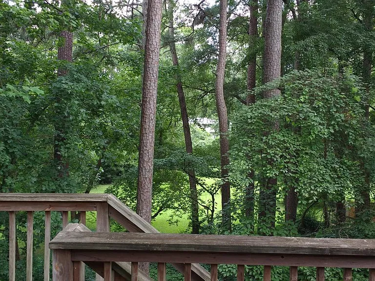 View from The deck.
