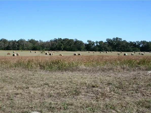 0 S Us Highway 301, Summerfield, FL 34491