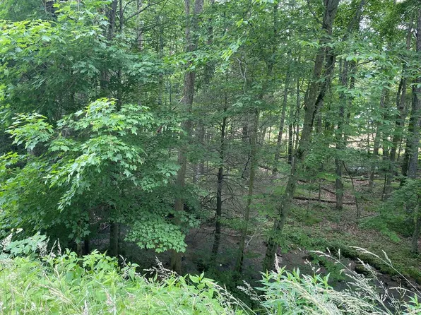 Tbd Highlands Pkwy, Whitetop, VA 24292