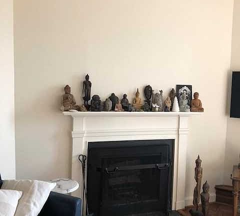 Wood burning fireplace