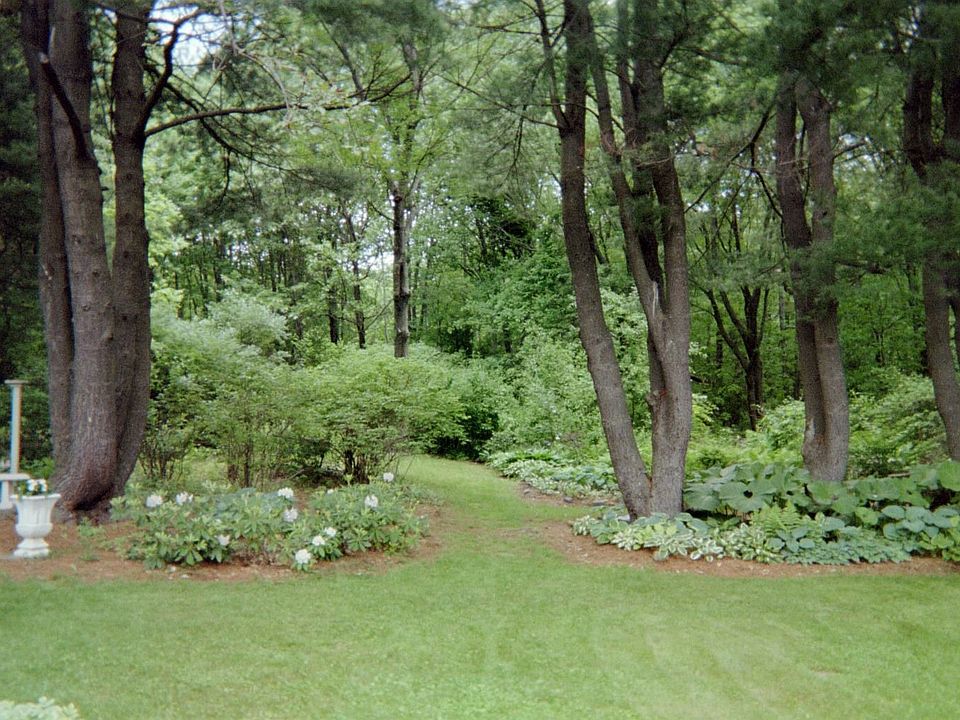 Private backyard