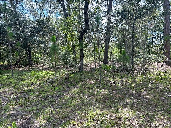 4th image of 9311 N Akola Way