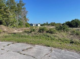607 Homosassa Ln LOT 9, Kissimmee, FL 34759