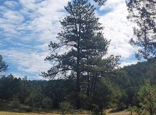 L10 Sundance Rd, Cotopaxi, CO 81223