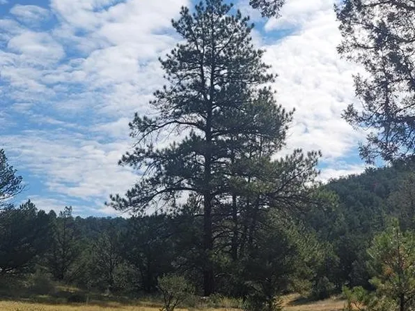 L10 Sundance Rd, Cotopaxi, CO 81223