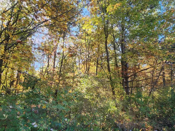 0 E Riley Thompson Rd, Muskegon, MI 49445