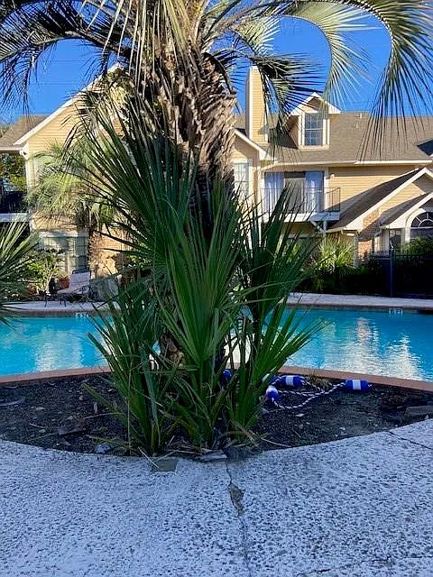 2 bed, 2.0 bath, 993 sqft, $1,650 — Photo 4