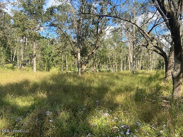 1st image of Penny Ln Lot 11