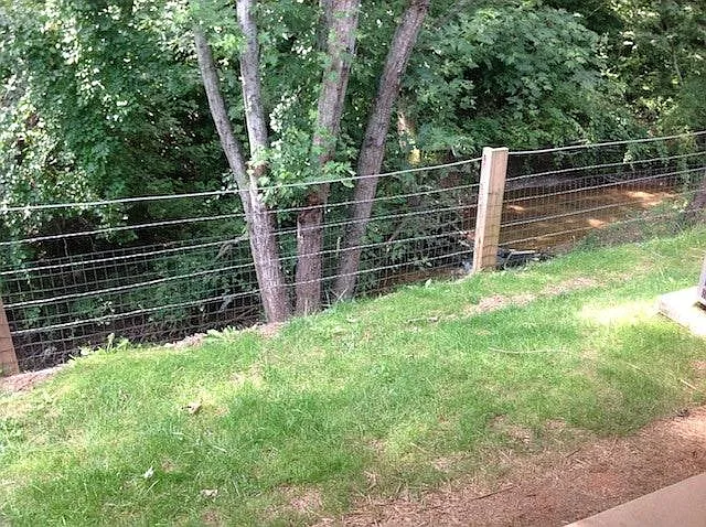 Back Yard w/ Creek