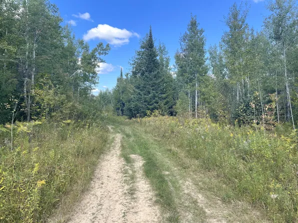 E Simmons Rd, Hessel, MI 49745