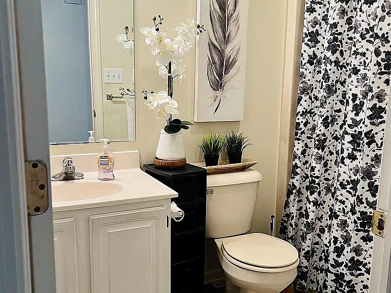 Hallway bathroom