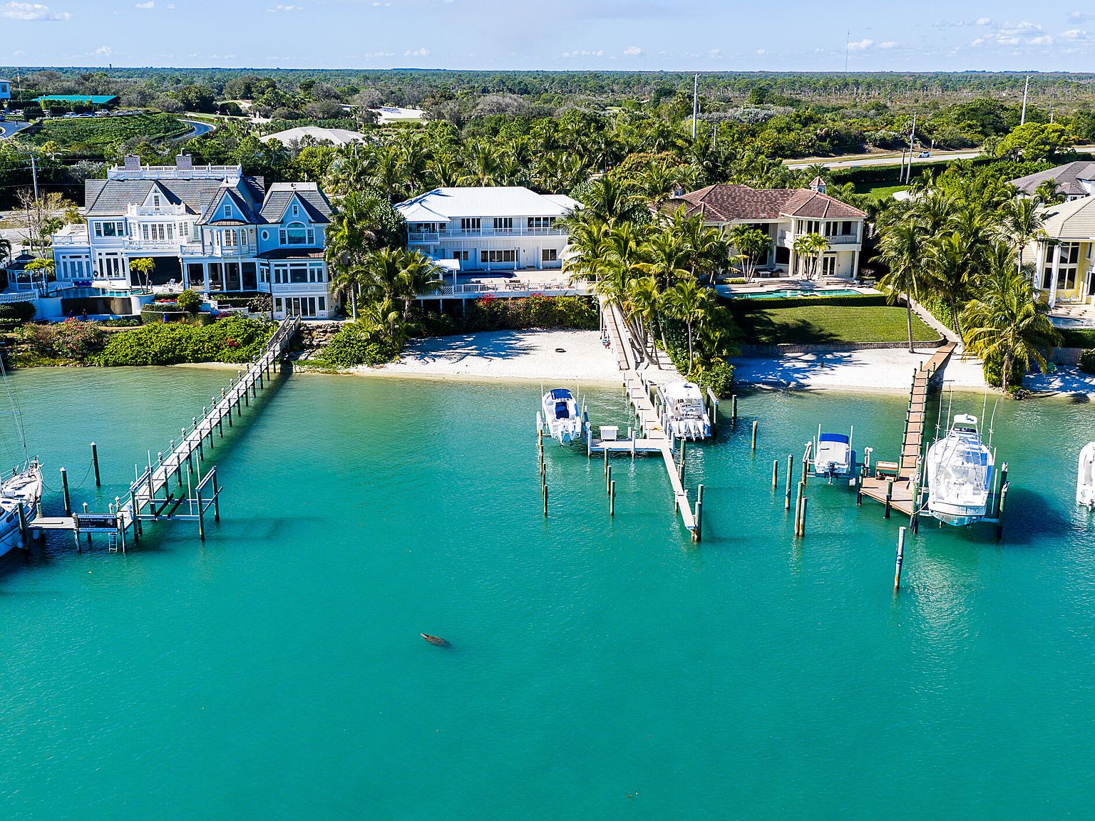 ★ハイブリット（外国種交配）開花予定株 ⑤ 17649 SE Federal Highway, Jupiter, FL 33469 | Zillow