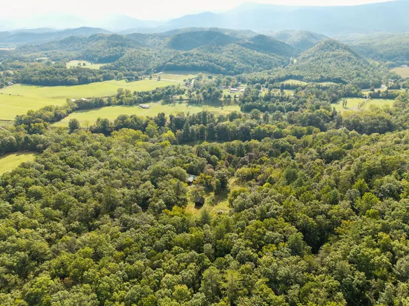 310 Hickory Hl, Covington, VA 24426