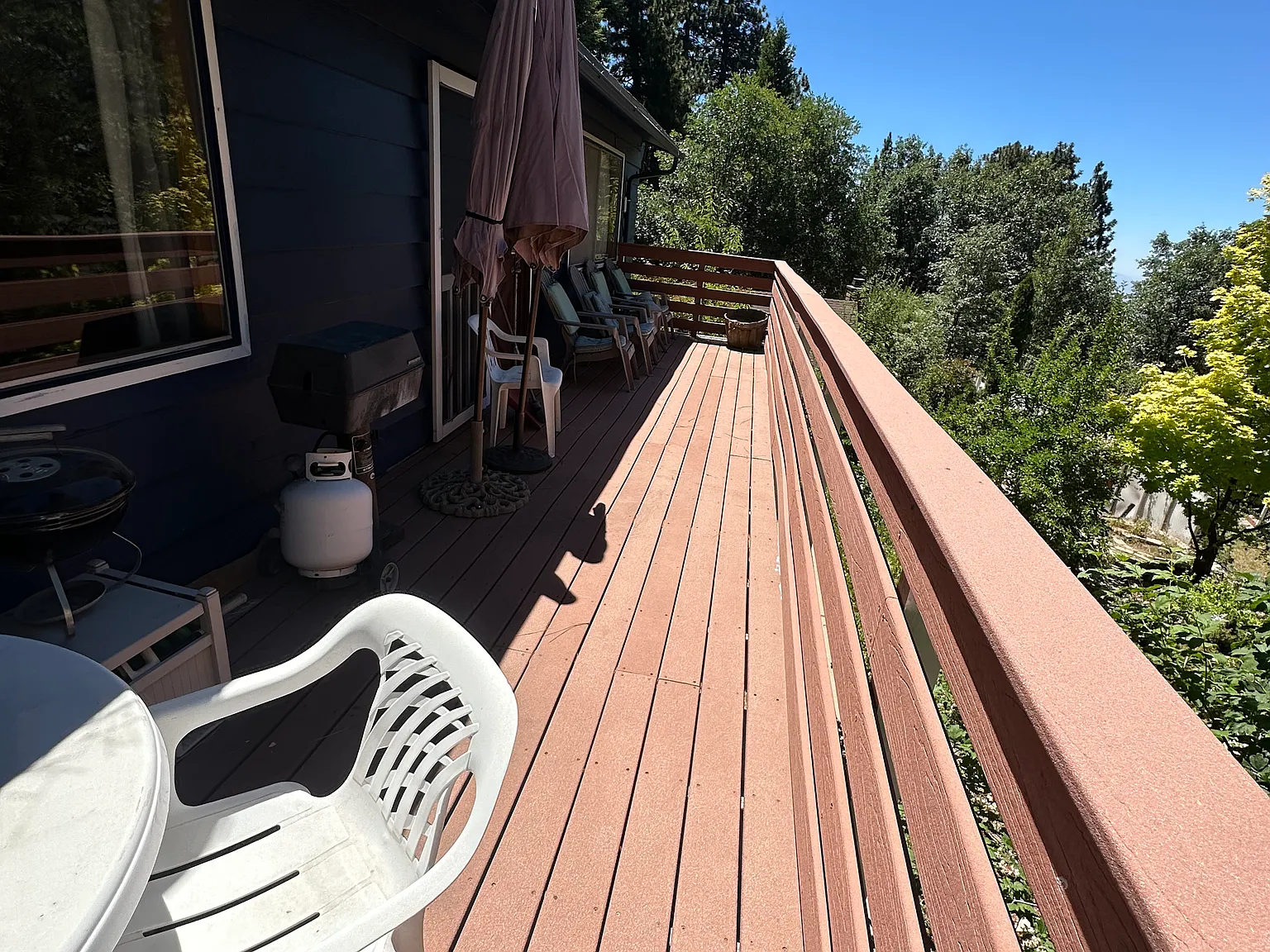 31379 Lightfoot Way — Photo 4