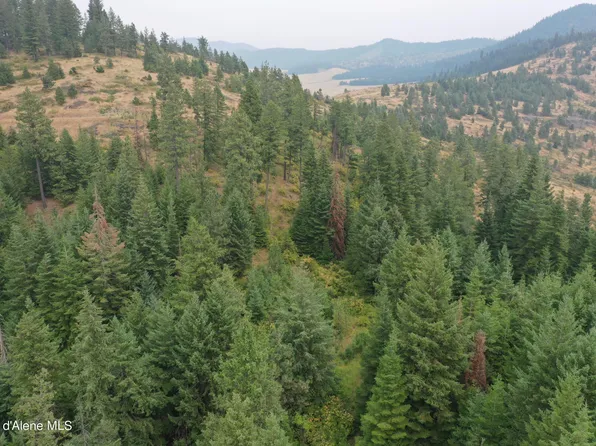 Nka Bremerman Parcel 2600, Plummer, ID 83851