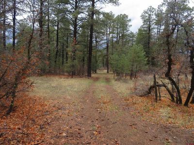 90 Harry's Court, Pagosa Springs, CO, 81147
