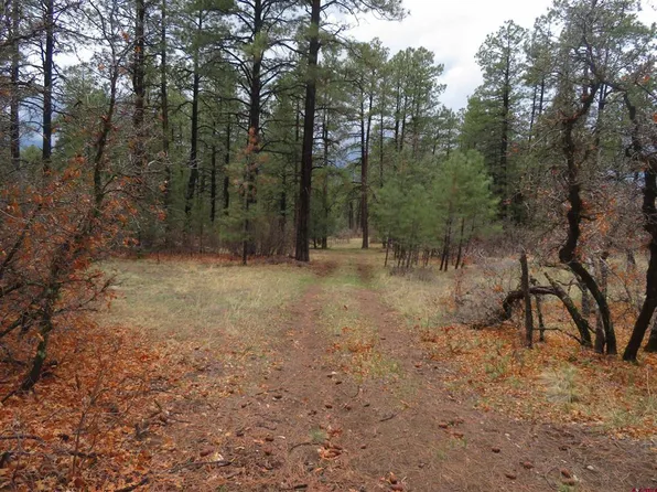 90 Harry's Court, Pagosa Springs, CO 81147