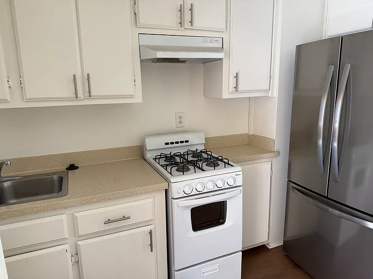 1017 E Maple St #202 — Photo 8