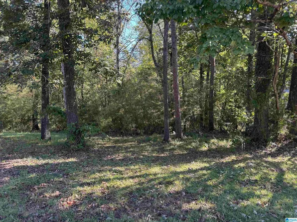 2175 Creekview Ln #52, Birmingham, AL 35210