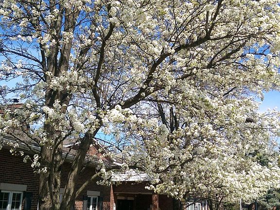 5th image of 1427 N Glenwood Ave #1B