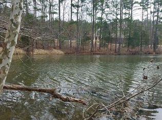 1 Lake Point Ct, Ebony, VA 23845