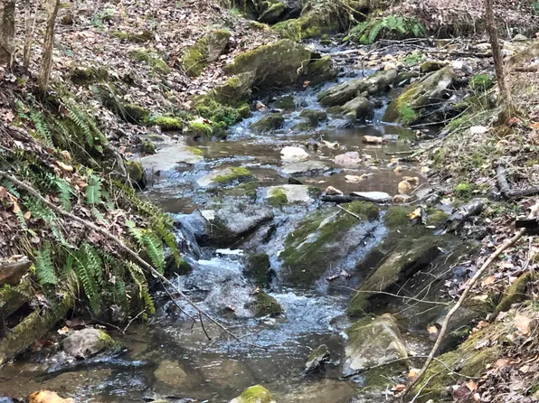 0 Thunderstruck Rd NE, Floyd, VA 24091