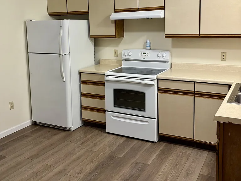 Recently Installed plank flooring in the kitchen, DR, and LR