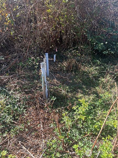 2nd image of 1881 Newman Road