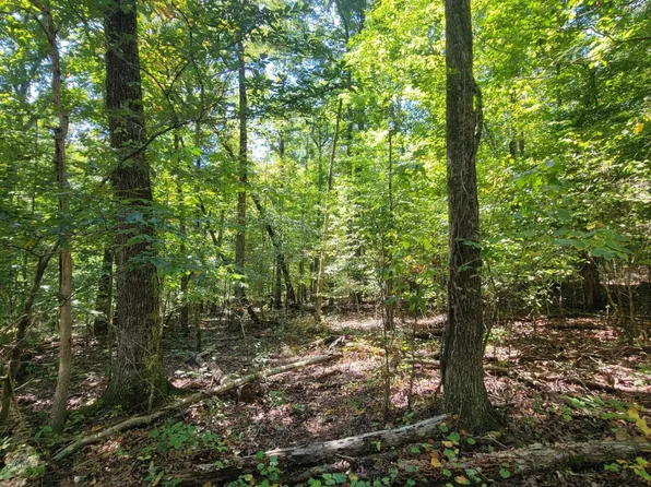 0 Fire Tower Rd, Cleveland, TN 37323