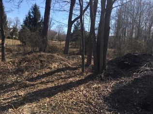 10 Mobus Ln, Warren, NJ 07059