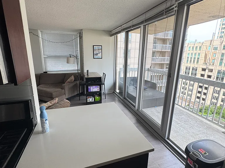 545 N Dearborn St #1307 — Photo 6