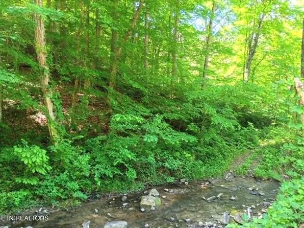 9025 Conner Rd, Powell, TN 37849