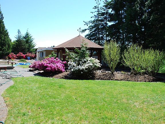 back yard