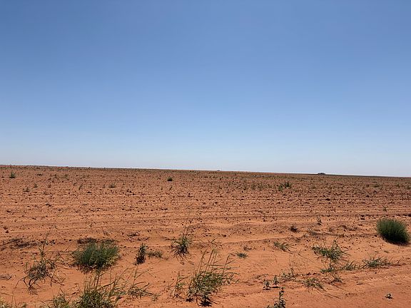 3rd image of County Road 450