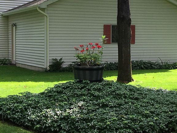5th image of 15 Pinion Pine Ln