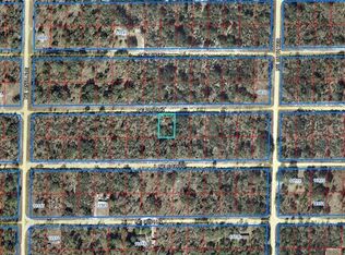 11648 NE 67th Ln, Williston, FL 32696