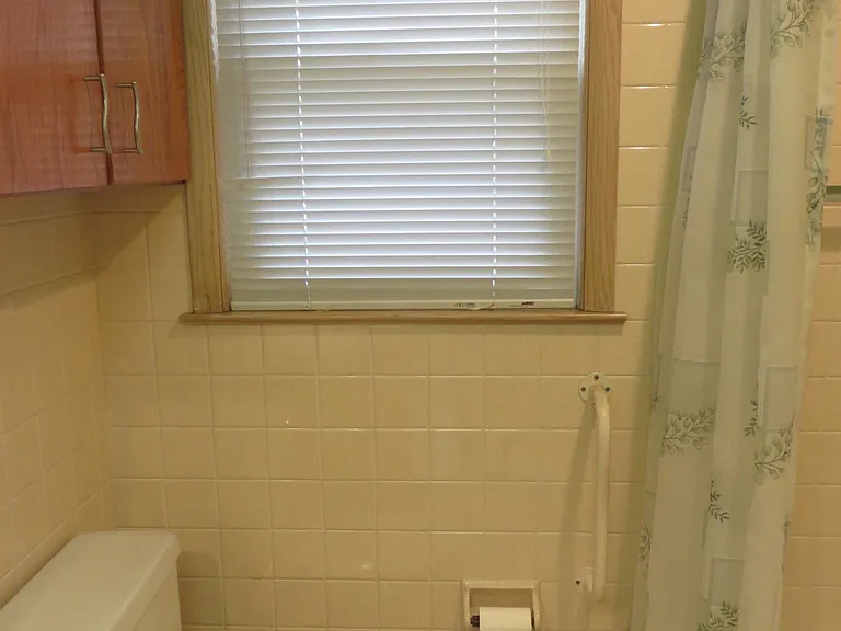 Bathroom showing stability rail