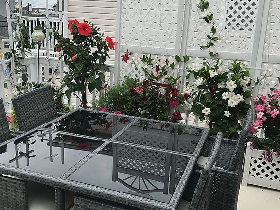 5th image of 2854 Asbury Ave #1