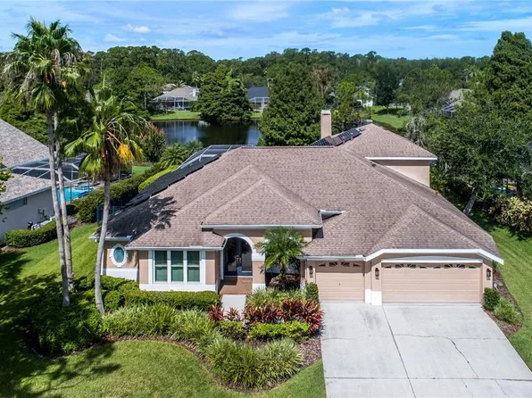 10553 Greencrest Dr, Tampa, FL 33626