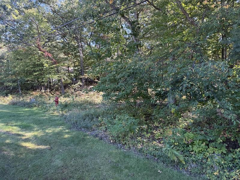 2nd image of 0 Port Austin Rd