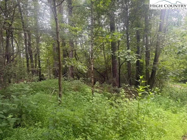 TBD Beaver Creek Drive, West Jefferson, NC 28694