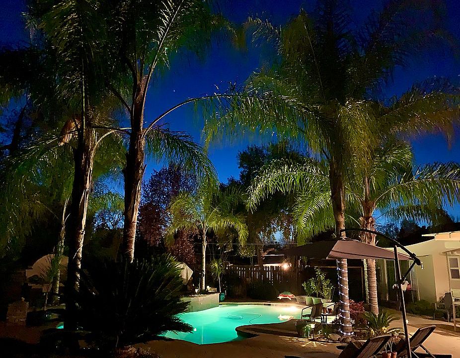 Backyard Oasis