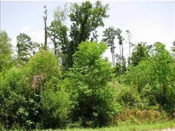 18193 Monga Dr, Covington, LA 70433