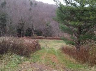 179 Oquaga Lake Rd, Deposit, NY 13754